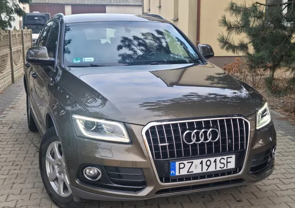 audi q5 kostrzyn Audi Q5 cena 85900 przebieg: 120000, rok produkcji 2015 z Kostrzyn